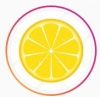 Компания "Лимон"